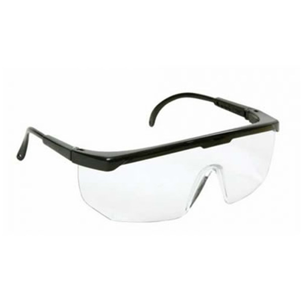  Óculos de Proteção FÊNIX incolor